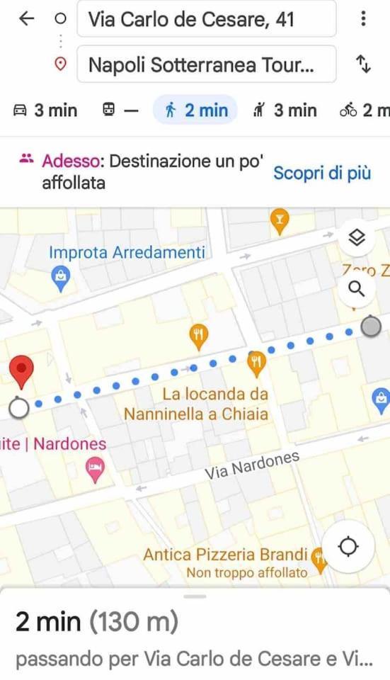 Traversa Toledo, Intero Appartamento Al Plebiscito نابولي المظهر الخارجي الصورة